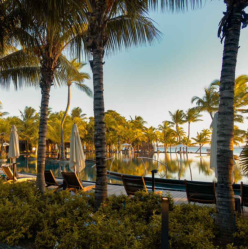 A hotel pool surrounded by palm trees