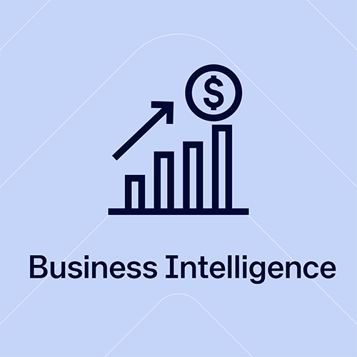 Business Intelligence